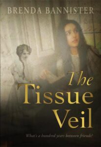 The Tissue Veil by Brenda Bannister